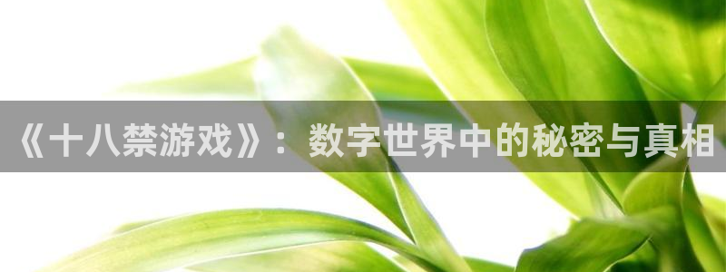 《十八禁游戏》：数字世界中的秘密与真相