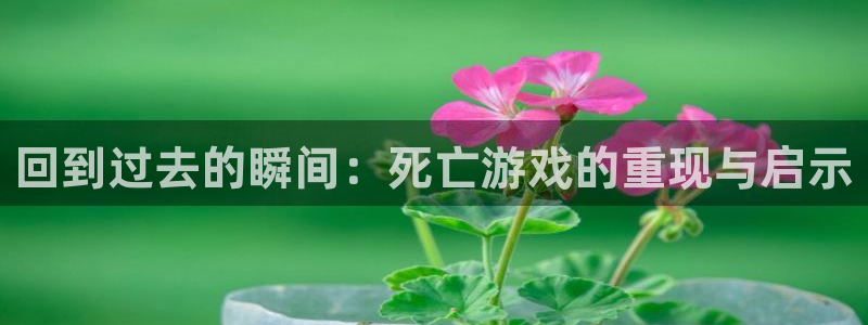  回到过去的瞬间：死亡游戏的重现与启示
