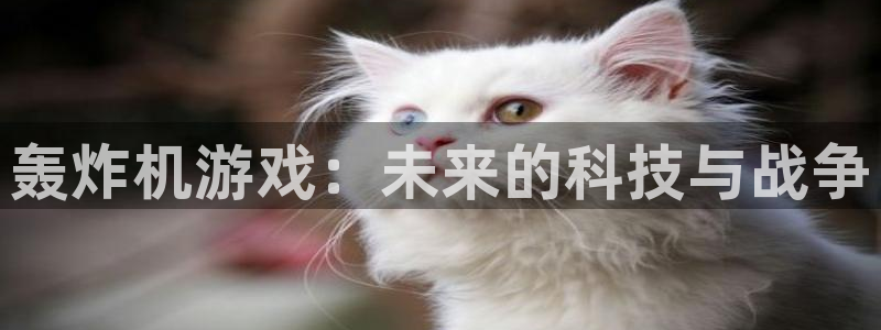 威廉希尔平局判断方法：轰炸机游戏：未来的科技与战争