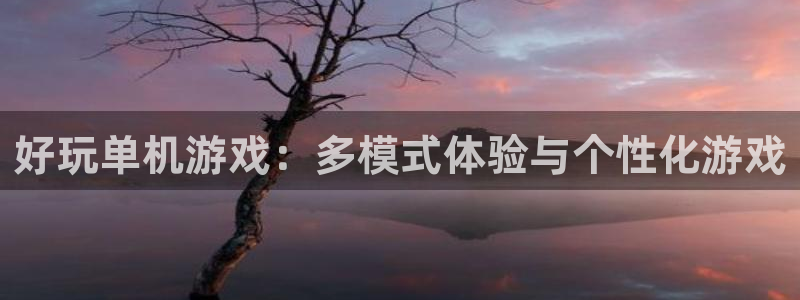 威廉希尔数据：好玩单机游戏：多模式体验与个性化游戏