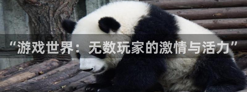  威廉希尔英文：“游戏世界：无数玩家的激情与活力”