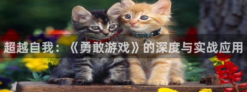  威廉希尔提款：超越自我：《勇敢游戏》的深度与实战应用