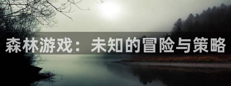 威廉希尔正版app：森林游戏：未知的冒险与策略
