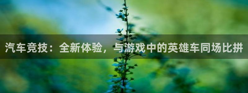  william威廉希尔：汽车竞技：全新体验，与游戏中的英雄车