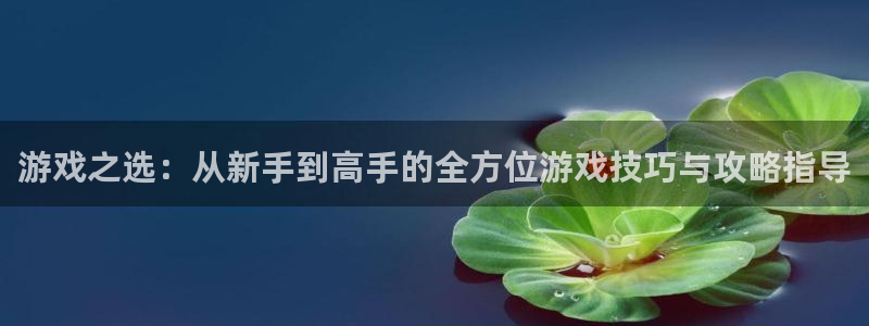 williamhill英国威廉希尔：游戏之选：从新手到高手的