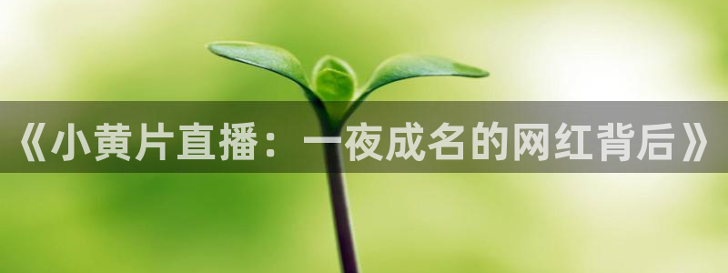 857篮球体育直播