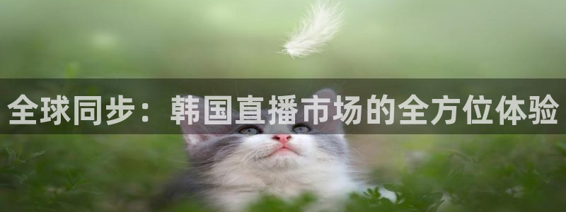 857nba直播体育：全球同步：韩国直播市场的全方位体验